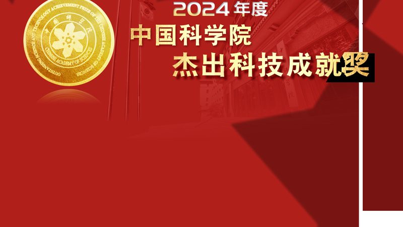 轻量级AI应用工具：如何选择适合你的解决方案
