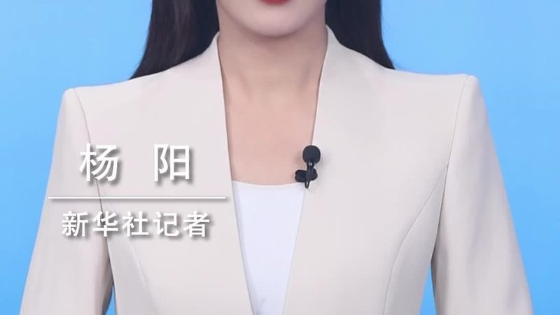 数据治理委员会主任委员职责解析：引领企业数据治理新航向